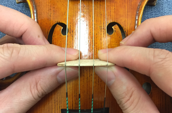 小提琴知識(shí)：什么是琴碼？如何挑選好的琴碼